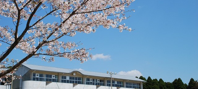 中学校 熊本市pta協議会